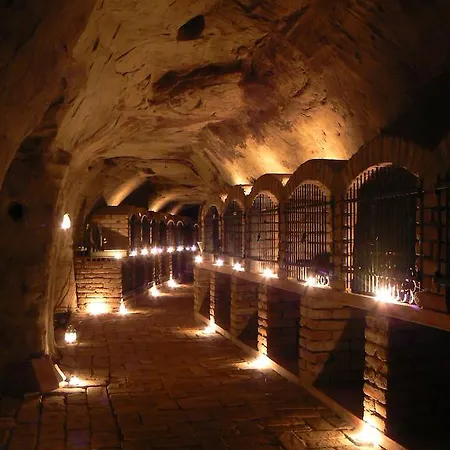 게스트하우스 Vas Sklep - Vinny Sklep A 3*